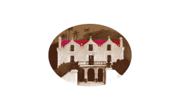 logo nicholas