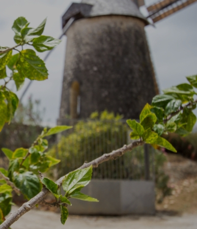 Habitation Bellevue
Marie-Galante, Guadeloupe